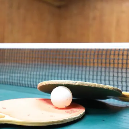 Martin Apartmán Schonach im Schwarzwald